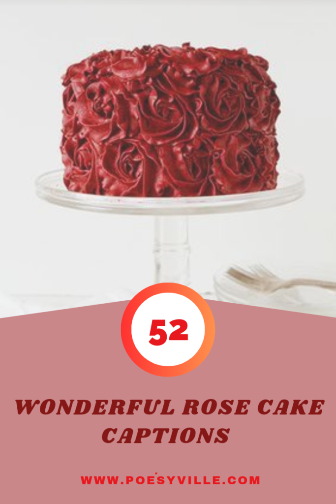 Rectangular Instagram Logo Vanilla Flavour Cake For Birthday Celebration  Additional Ingredient: Flour at Best Price in Gorakhpur | Shri Sai Bakers