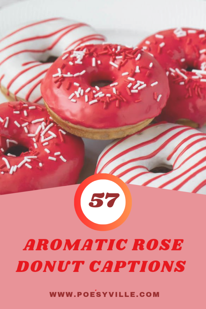 Rose Donut Captions 