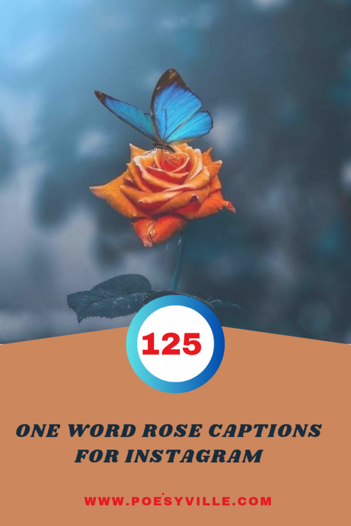 One Word Rose Captions