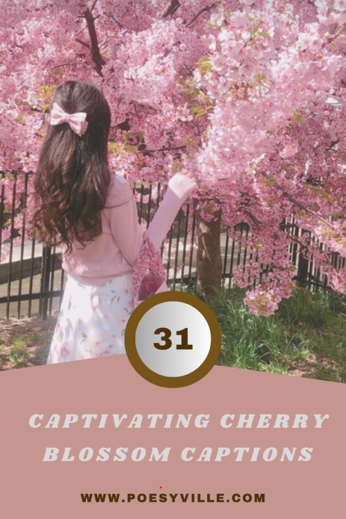 Cherry Blossom Captions 