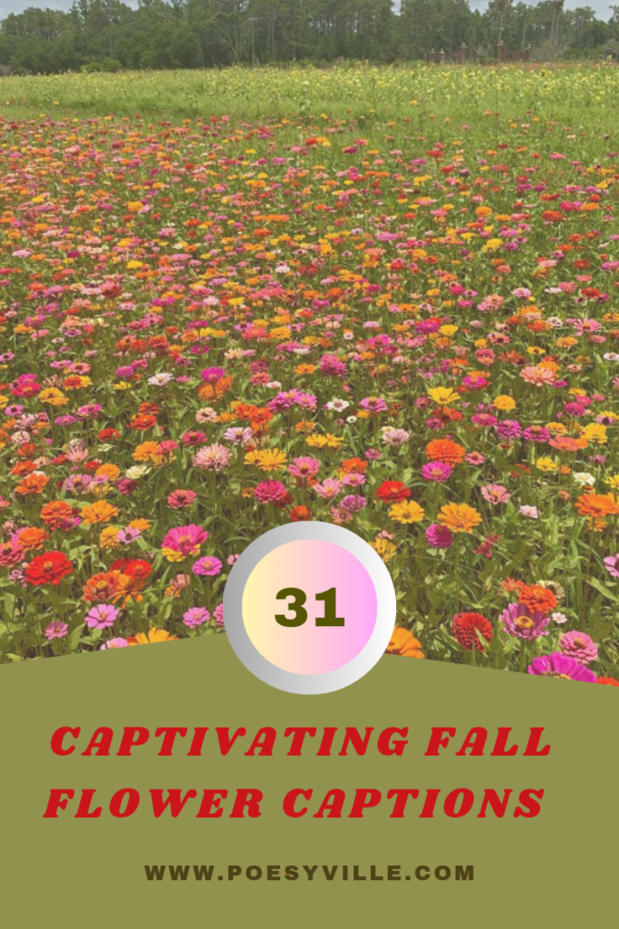 Fall Flower Captions 