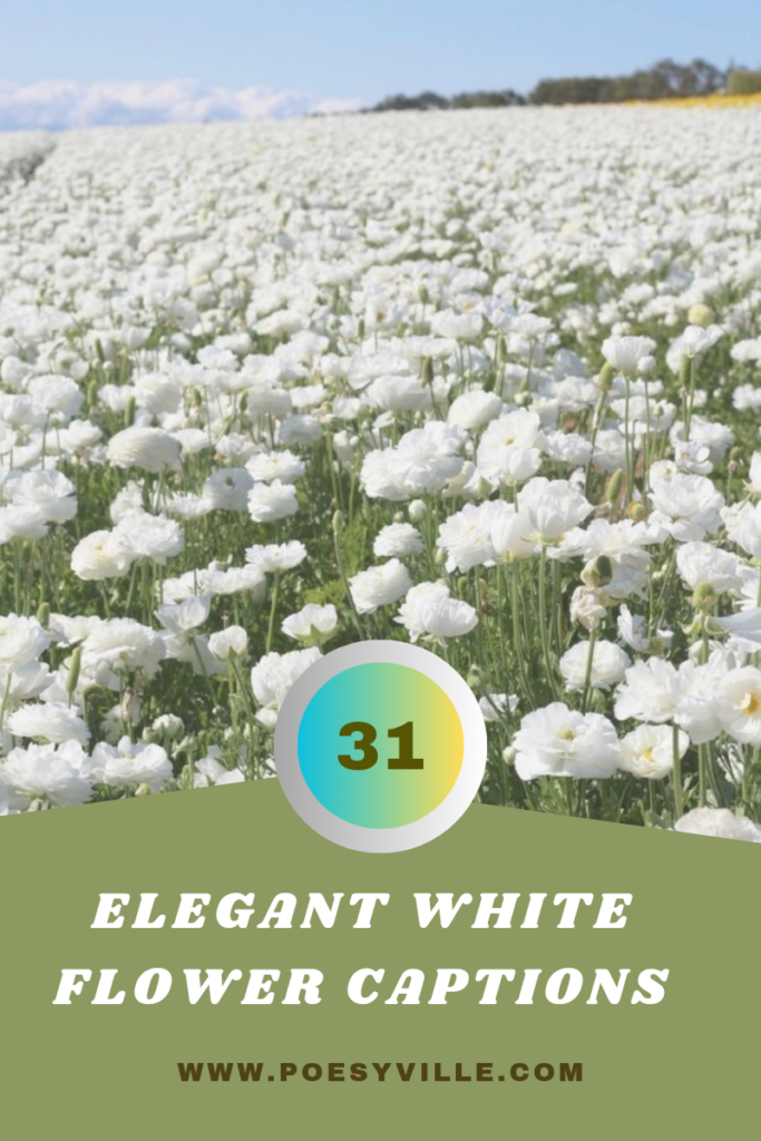 White Flower Captions 