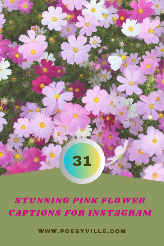 Pink Flower Captions for Instagram 