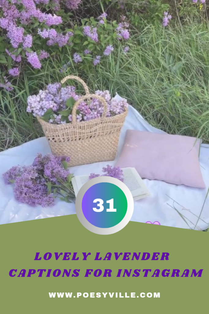 Lavender Captions for Instagram 