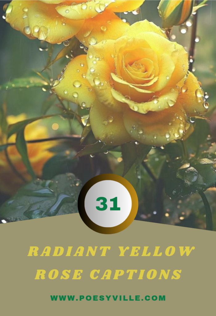Yellow Rose Captions for Instagram 