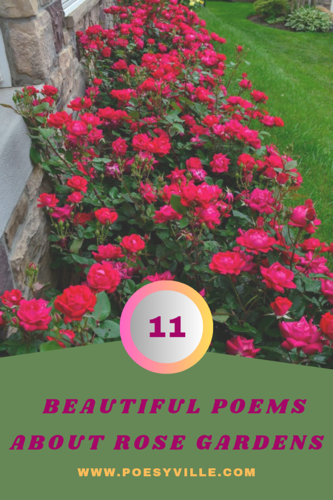 Poems about Rose Gardens 