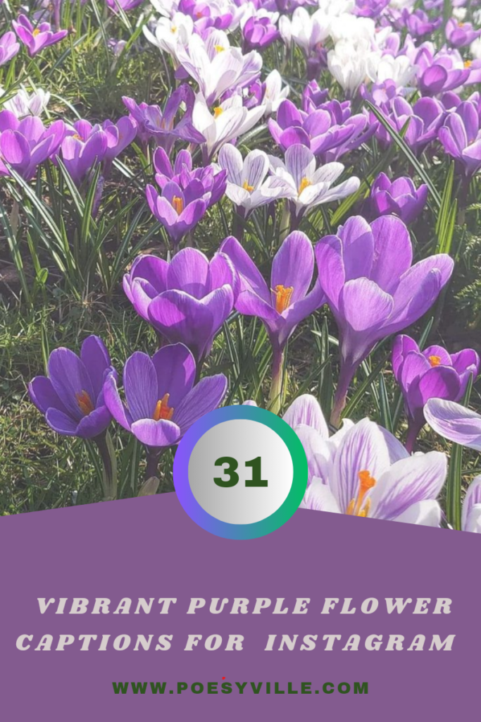 Purple Flower Captions for Instagram 