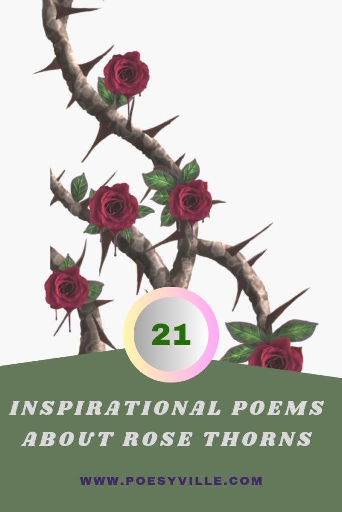 Poems About Rose Thorns 