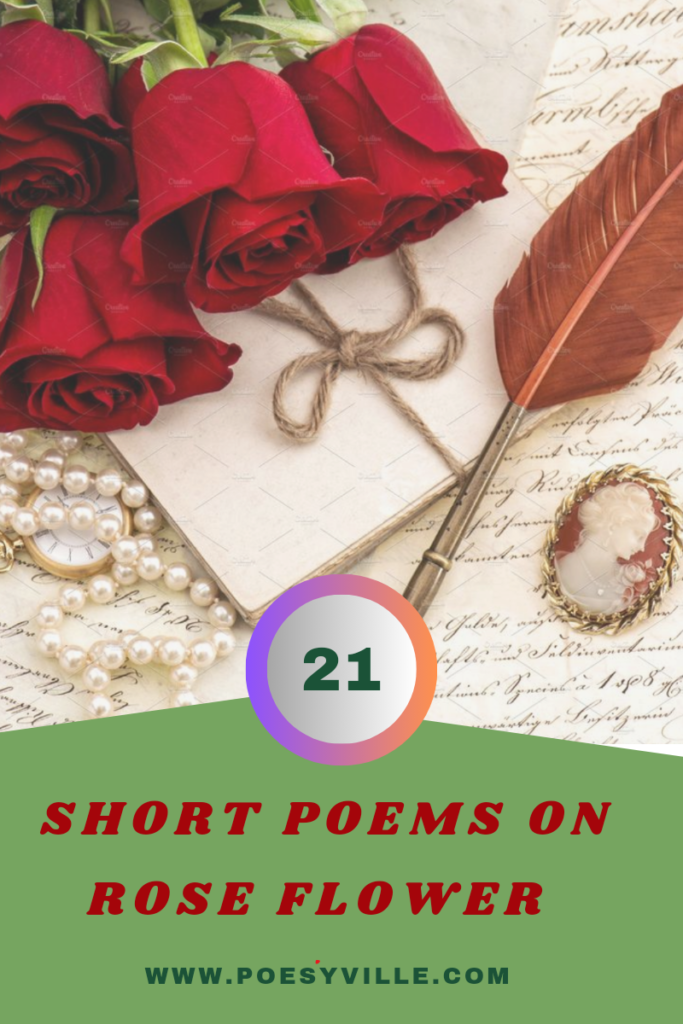 Short Poems On Rose Flower 