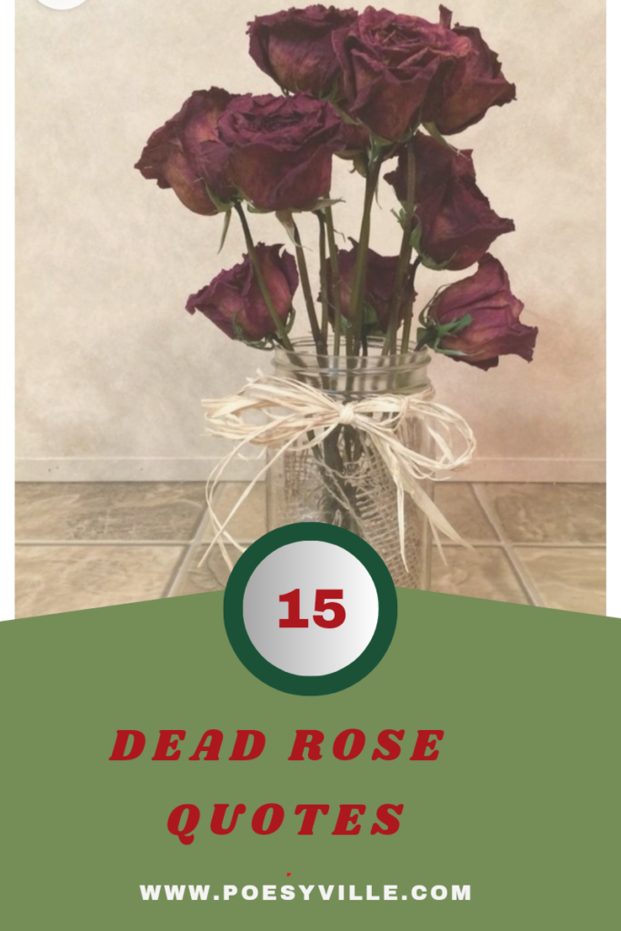 Dead Rose Quotes 